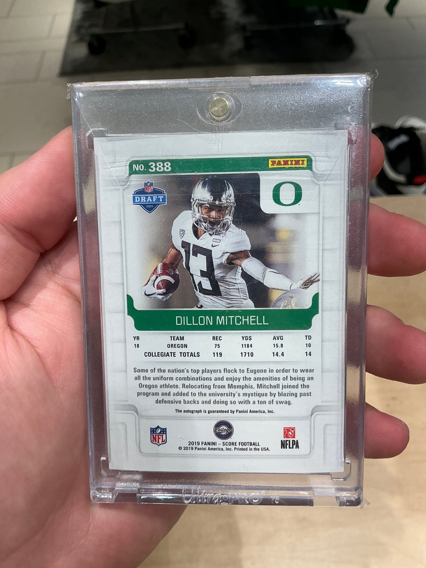 Dillon Mitchell Auto