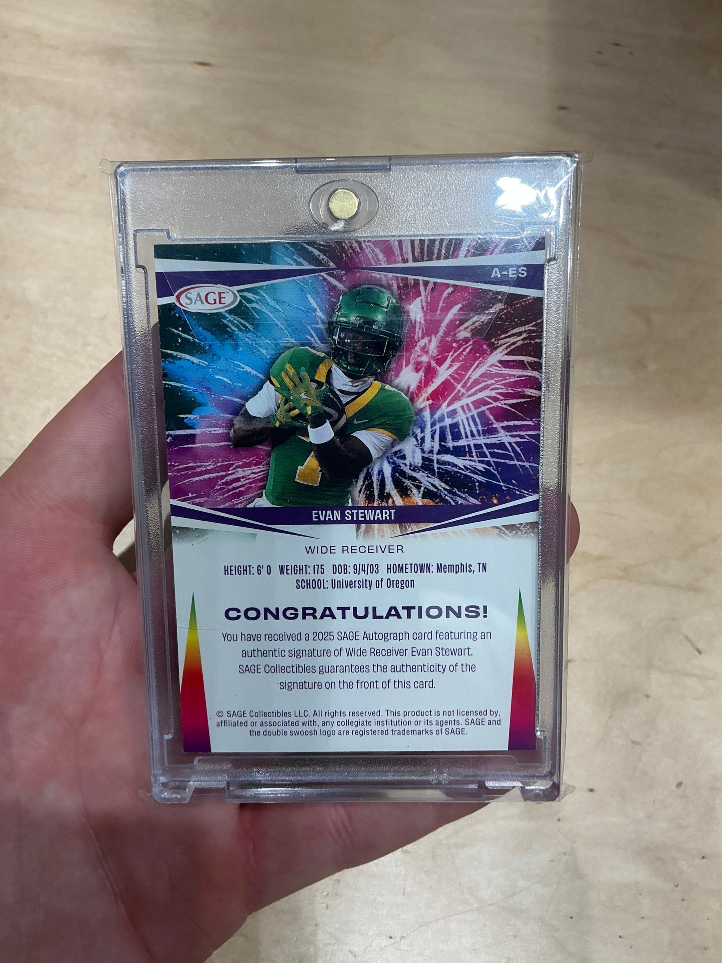 Evan Stewart Auto