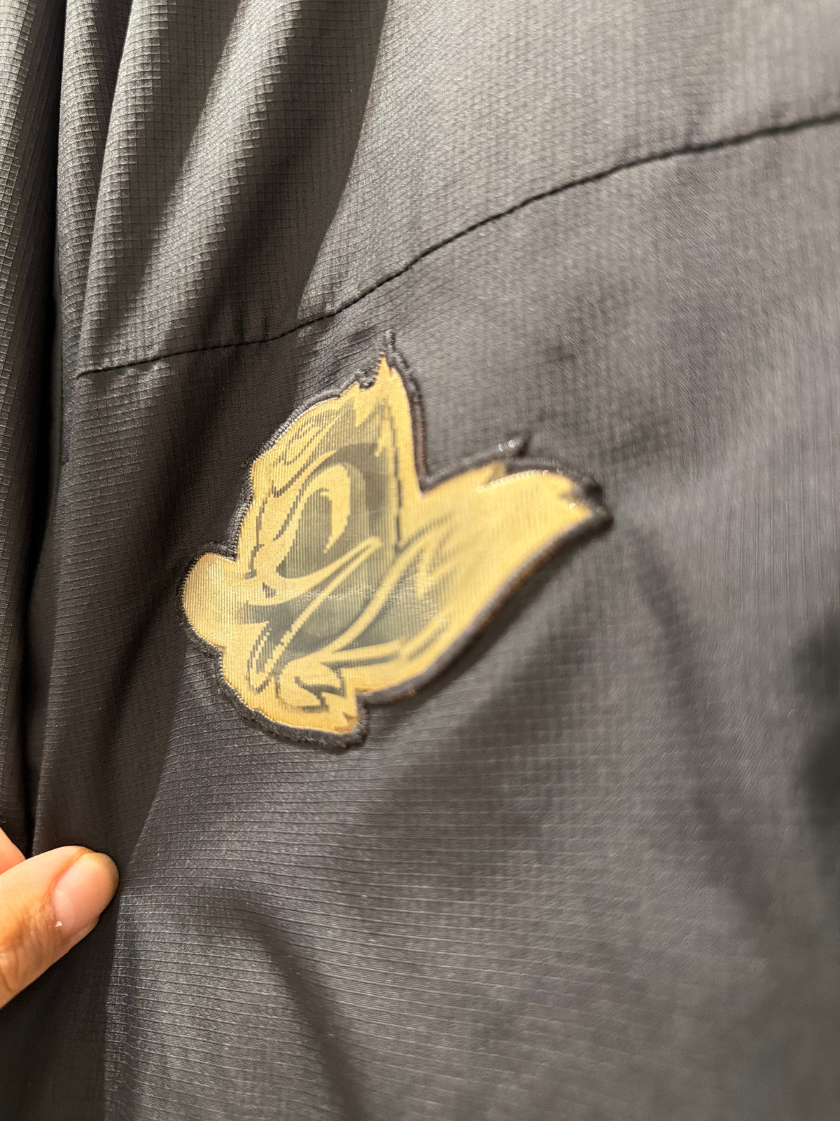 Rare Oregon Hologram Duck Zip Up (XL)