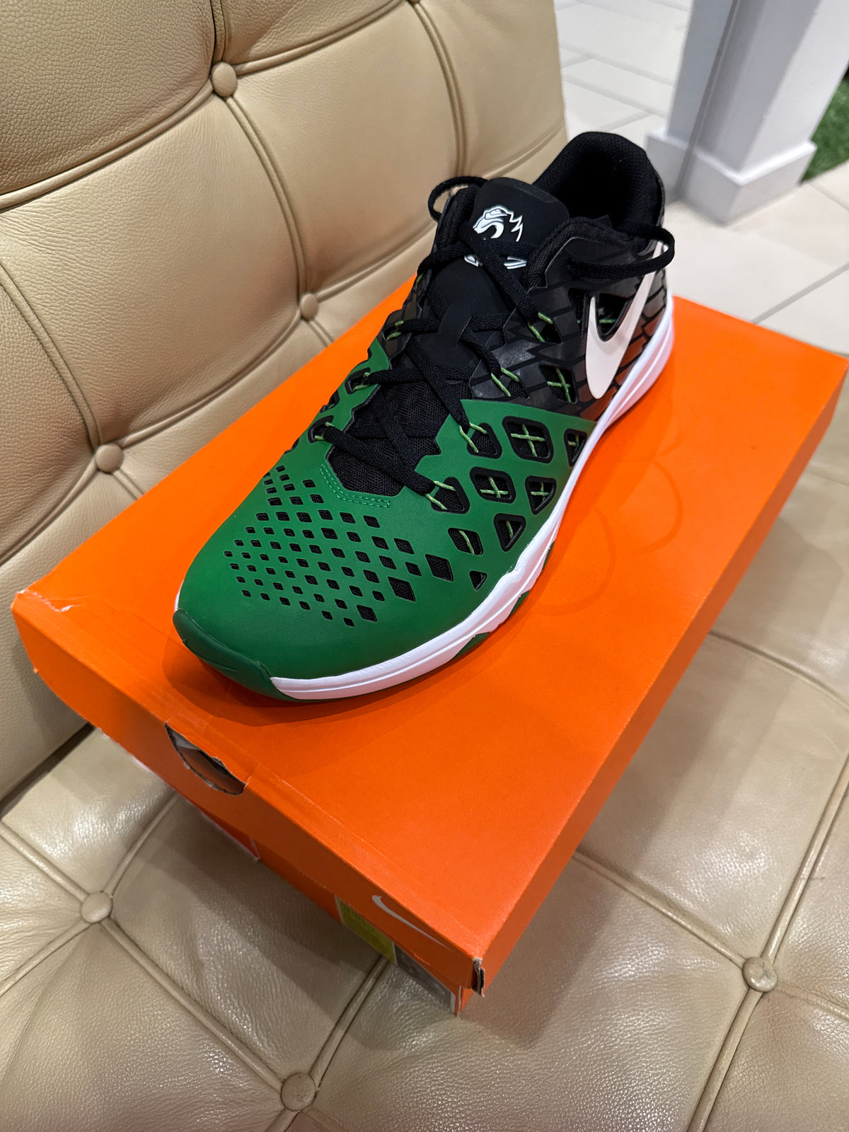 Nike Oregon Train Speed 4 AMP New (12)