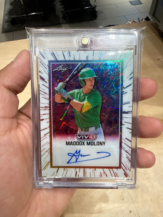Maddox Molony Auto 3/5