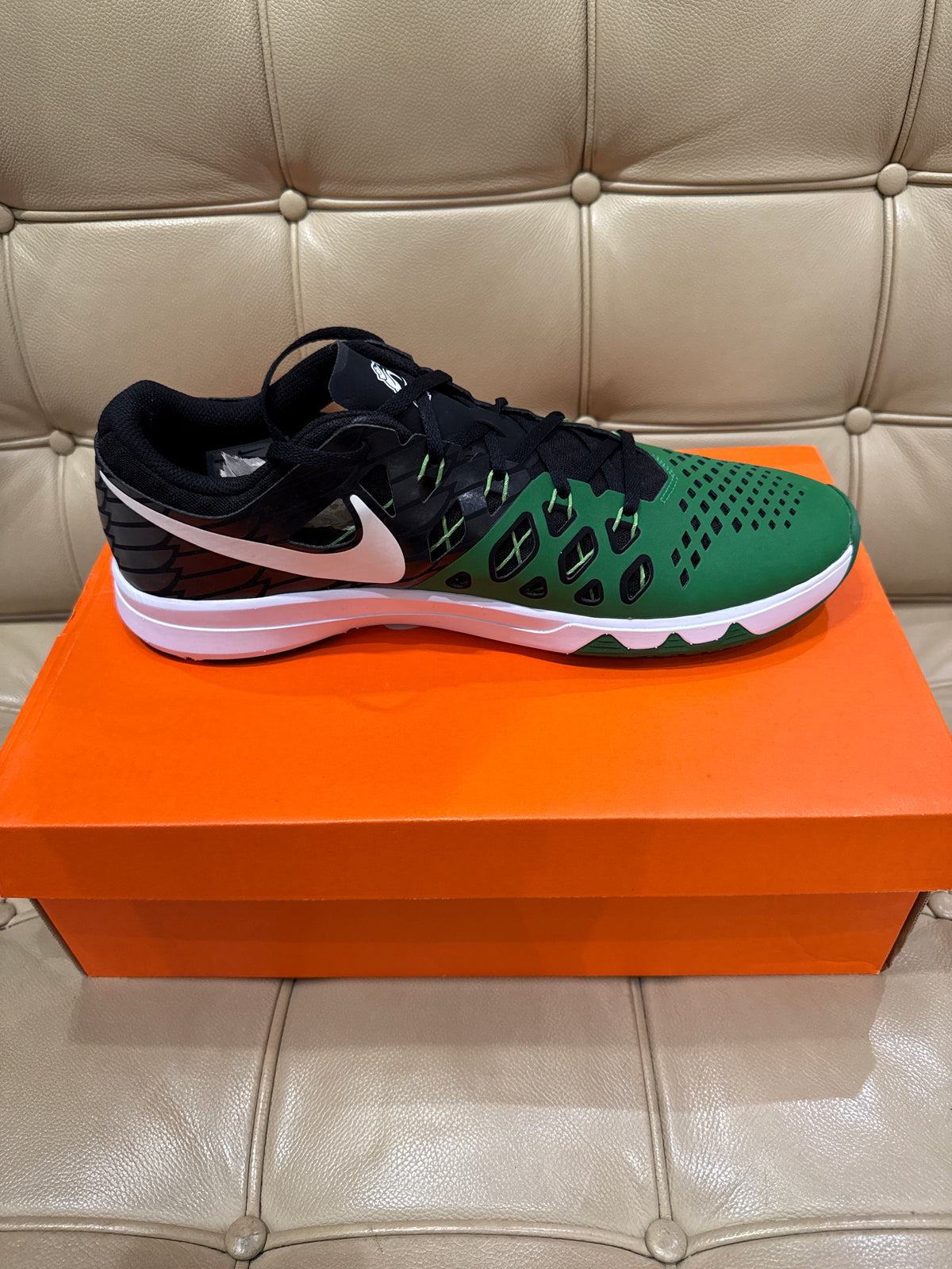 Nike Oregon Train Speed 4 AMP New (12)