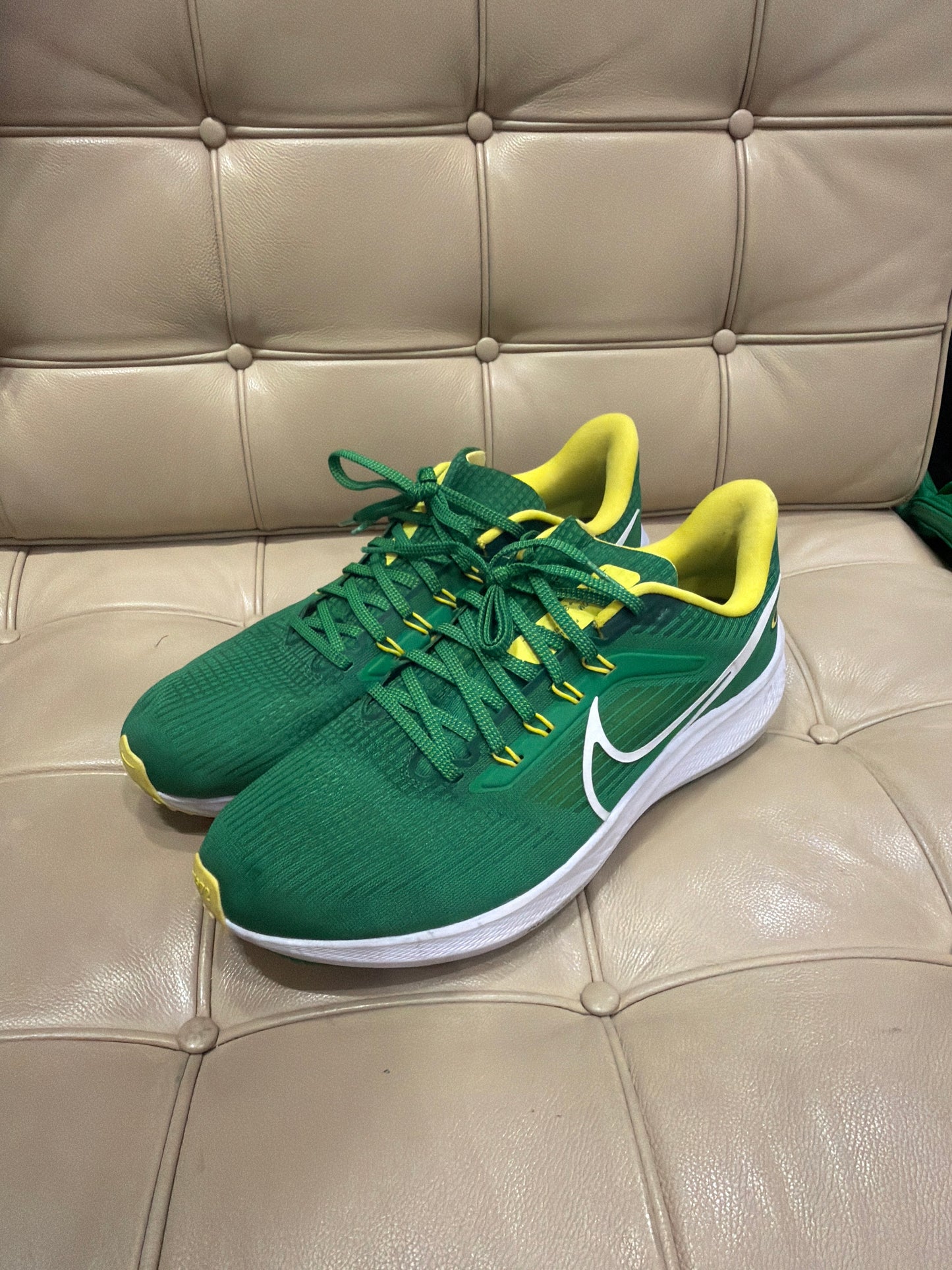 Oregon Nike Pegasus (Size 11)