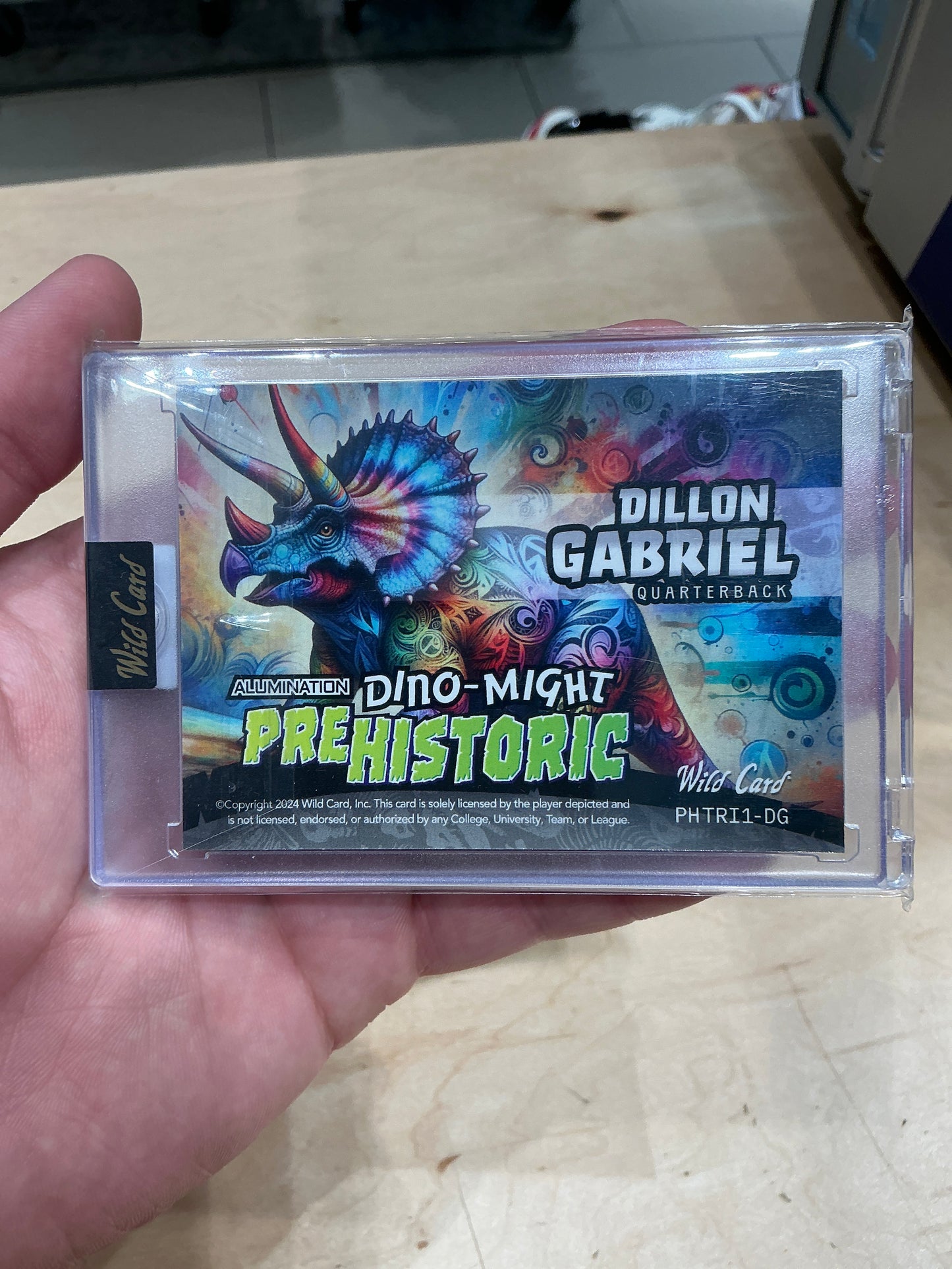 Dillon Gabriel Card 14/18