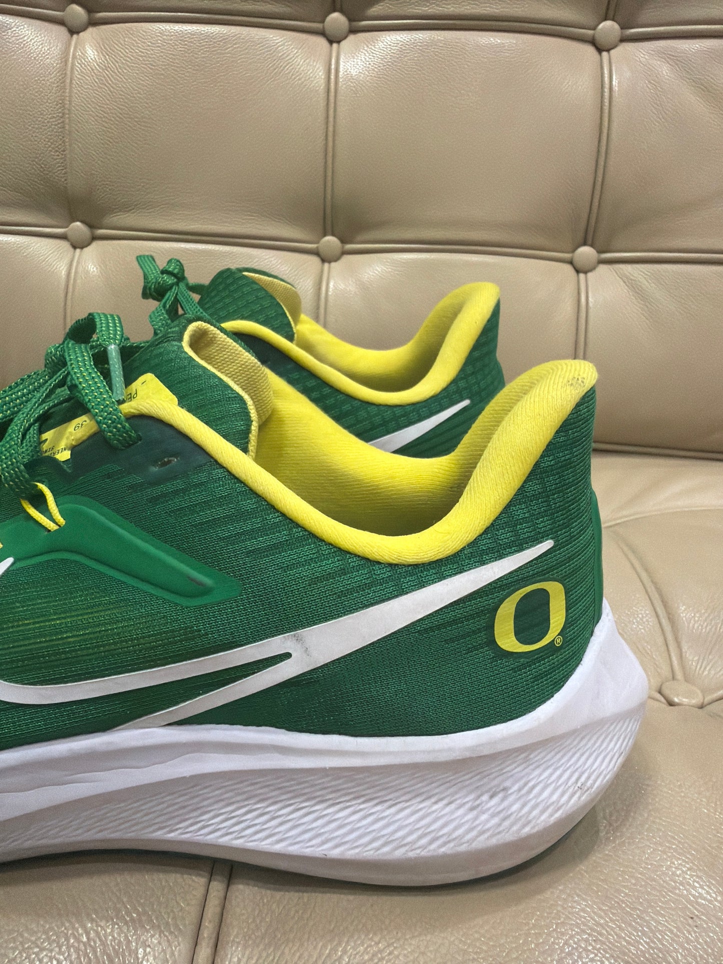 Oregon Nike Pegasus (Size 11)