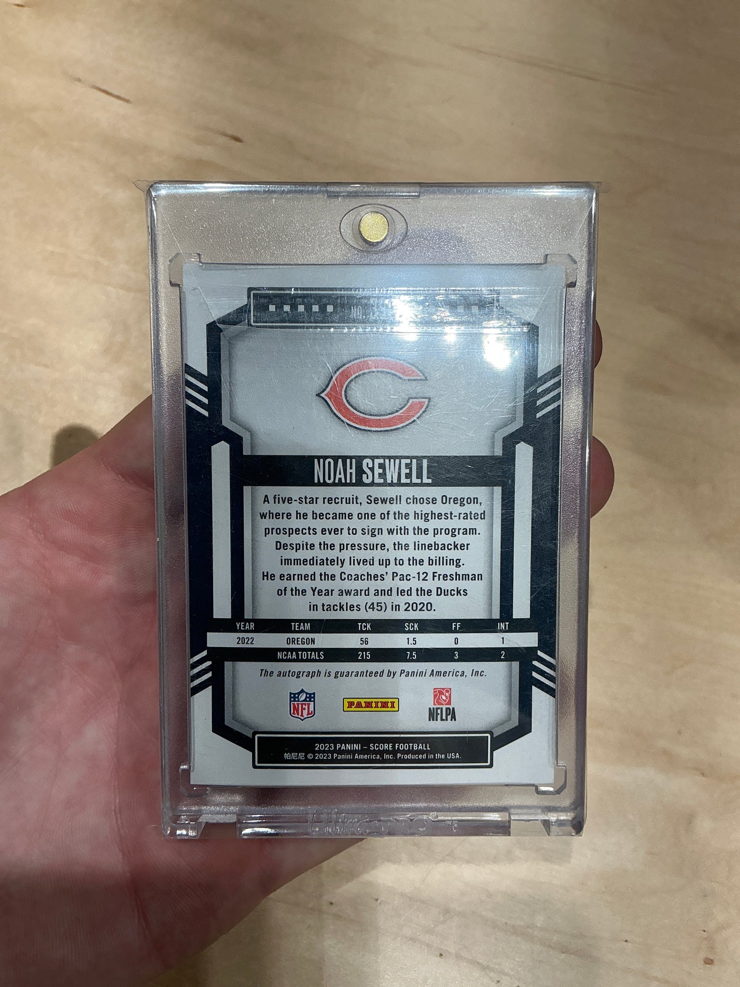 Noah Sewell Auto