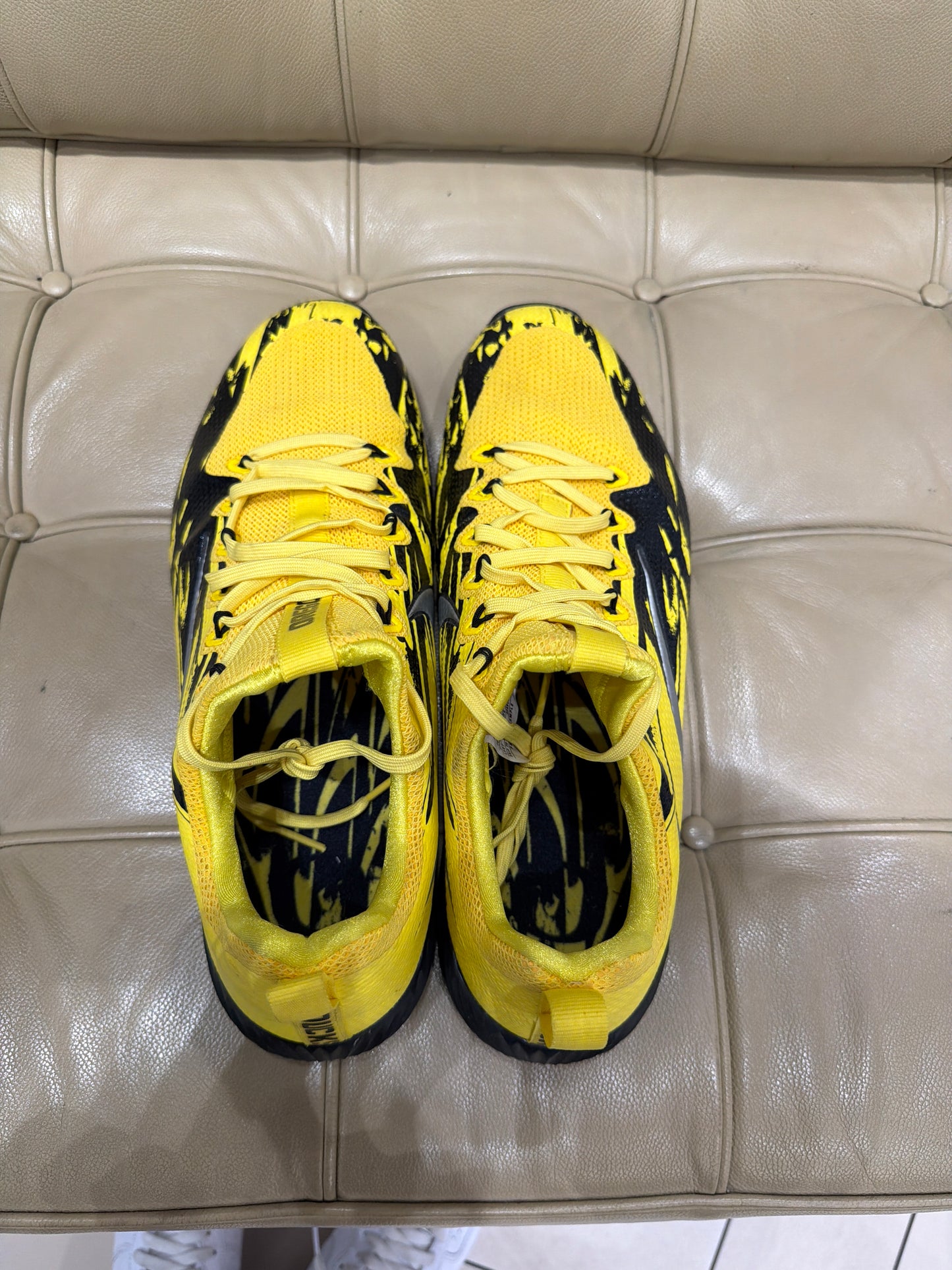 Oregon Nike Team Issued Rare Trainers Sample Like New (12 Men’s)