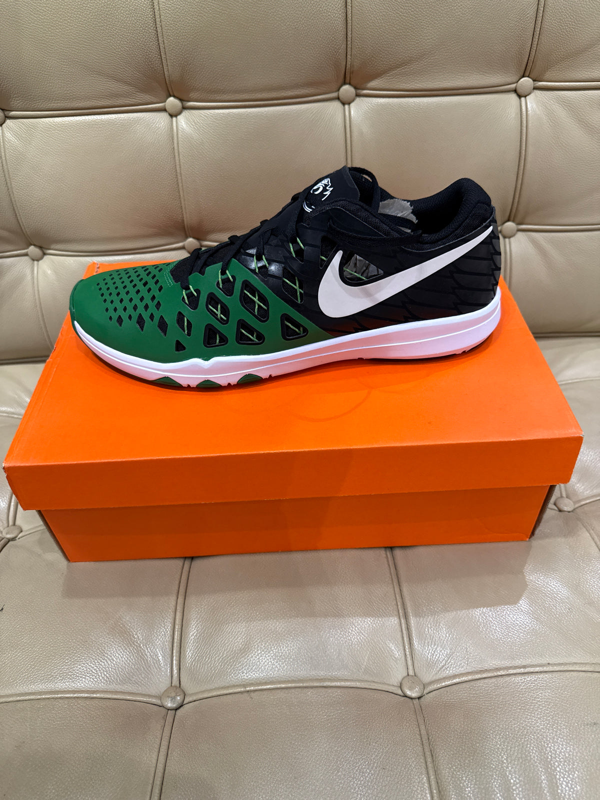 Nike Oregon Train Speed 4 AMP New (12)