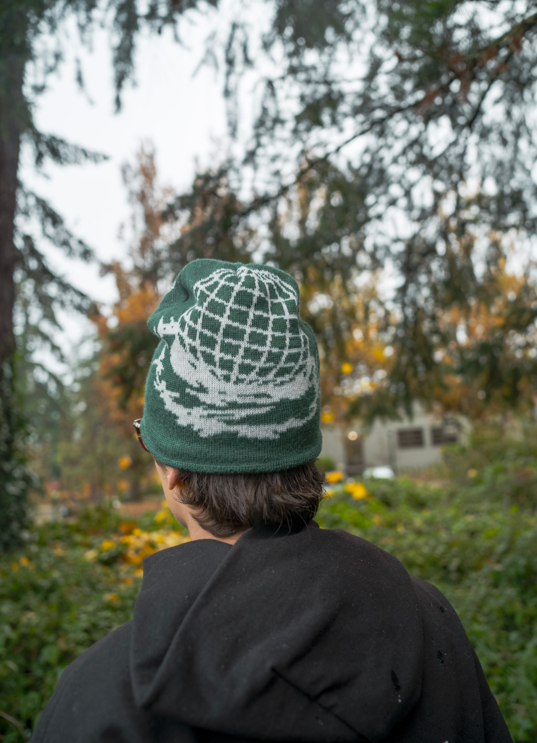 NEST BEANIE- Green & White